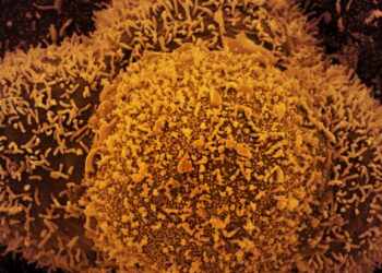 Bahia registra uma morte e 340 casos de covid-19