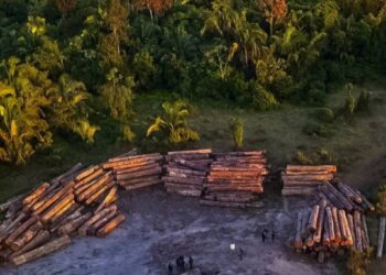 Desmatamento bate recorde em apenas 17 dias de fevereiro na Amazônia