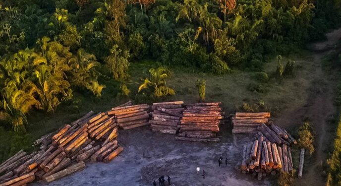 Desmatamento bate recorde em apenas 17 dias de fevereiro na Amazônia