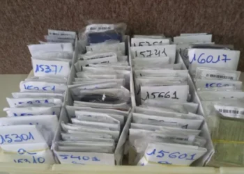 PM baiana recupera 567 documentos perdidos na folia