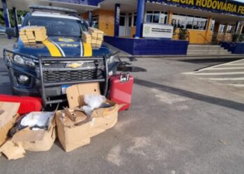 PRF apreende quase 140 kg de drogas em ônibus na Bahia