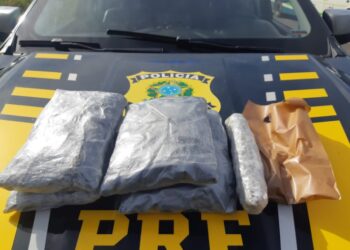 PRF apreende pacotes de maconha em carro na Bahia