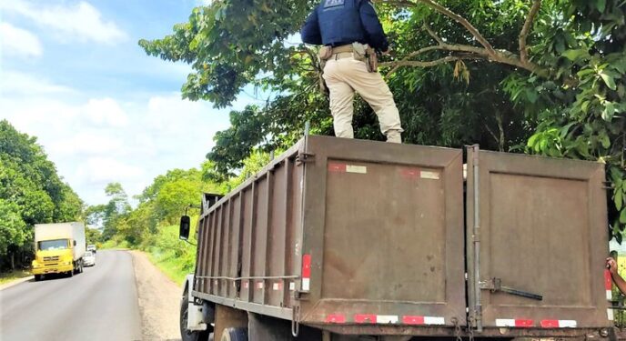 PRF apreende carga de madeira transportada ilegalmente no interior baiano