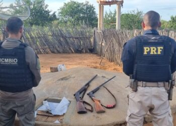 PRF, ICMBIO e Inema realizam combate a caça ilegal na Bahia