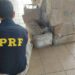 PRF apreende 520 kg de maconha e 20 Kg de cocaína na Bahia