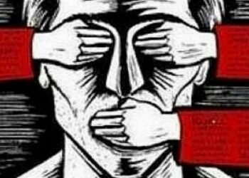 Com receio de derrota Governo tira de pauta PL da Censura