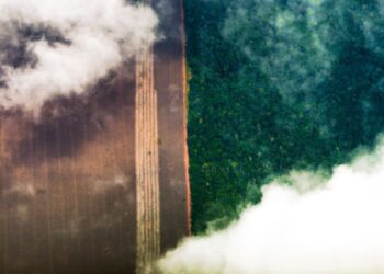 Banco Mundial alerta para dano pelo desmatamento na Amazônia