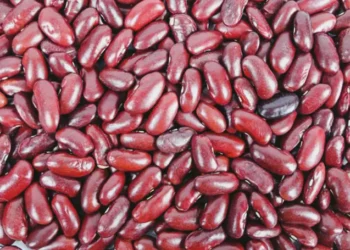 Feijão impróprio para consumo deve ser retirado do mercado