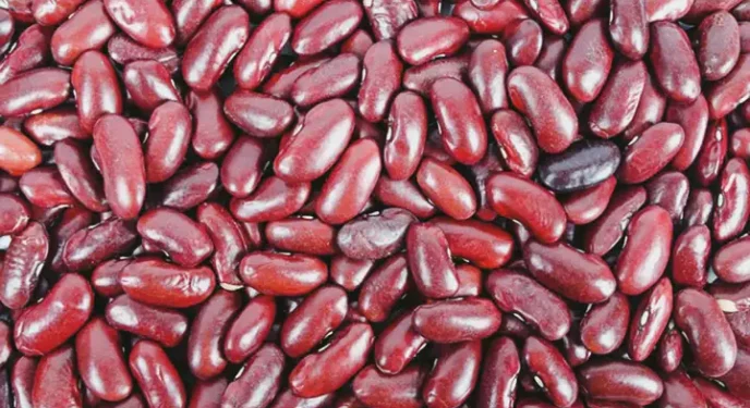 Feijão impróprio para consumo deve ser retirado do mercado