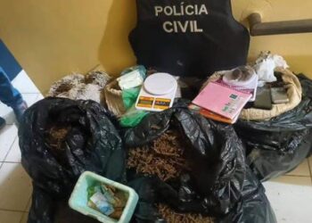 Polícia desmonta esquema de entrega de drogas em cidade baiana