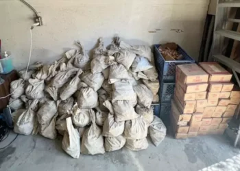 Família limpa porão de um parente falecido e encontra R$ 4 milhões moedas