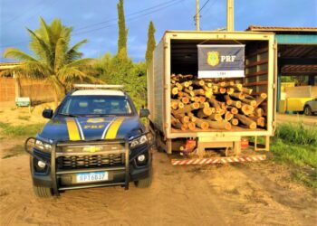 PRF apreende caminhão na Bahia com carga de angico sem documentação válida