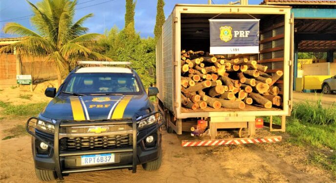 PRF apreende caminhão na Bahia com carga de angico sem documentação válida