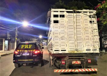 Carreta boiadeiro roubada é recuperada pela PRF na Bahia