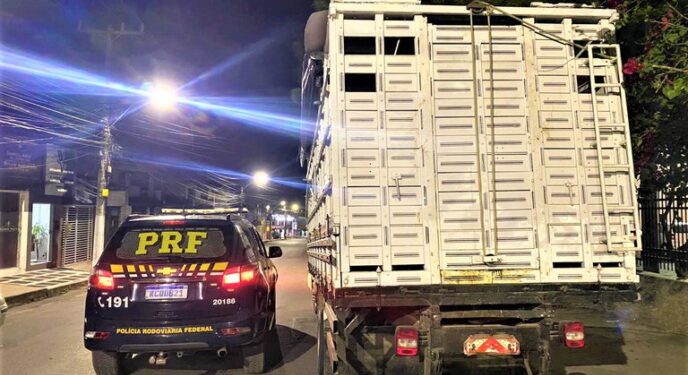 Carreta boiadeiro roubada é recuperada pela PRF na Bahia