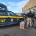 PRF apreende R$ 1,75 milhão em cigarros contrabandeados na Bahia