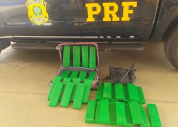 Cão da PRF encontra 24 kg em bagagem de mulher em ônibus interestadual