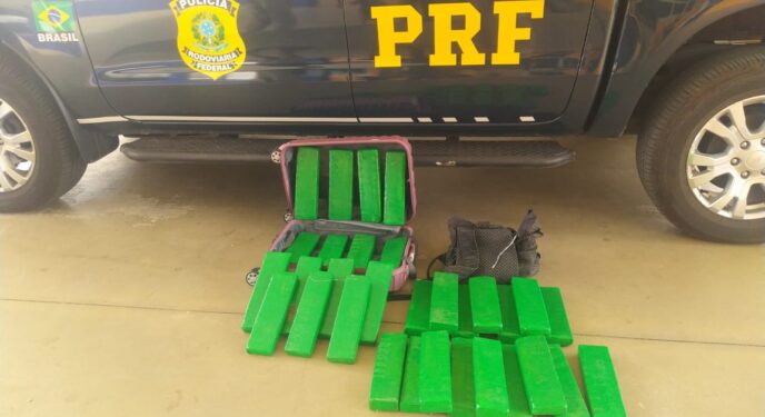 Cão da PRF encontra 24 kg em bagagem de mulher em ônibus interestadual