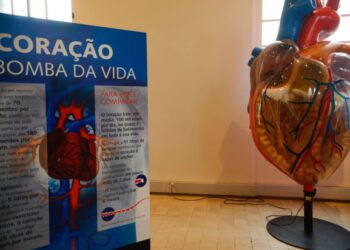 Internações por infarto aumentam mais que o dobro no Brasil