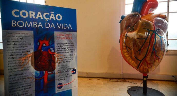 Internações por infarto aumentam mais que o dobro no Brasil