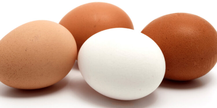 Ovos têm maior alta de preços em uma década no Brasil