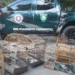 Polícia Ambiental apreende 42 pássaros silvestres na Bahia