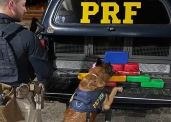 PRF apreende mais de 15 Kg de cocaína na Bahia