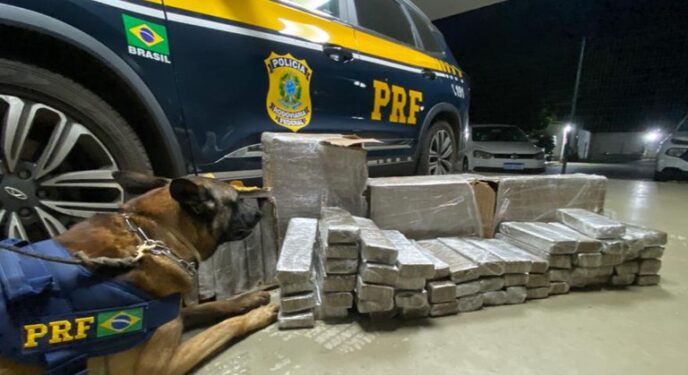 PRF apreende mais de 56 kg de maconha em ônibus na Bahia