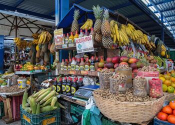 Empreenda Salvador oferece 300 vagas em curso de educação financeira para MEIs