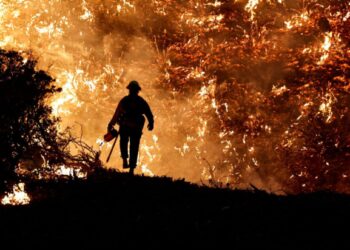 Incêndios se espalham por vários países da Europa