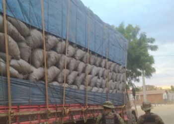 PM prende motoristas e apreende 18 toneladas de carvão ilegal na Bahia