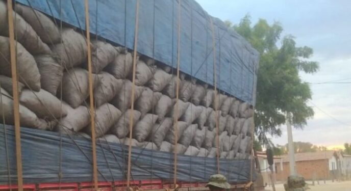 PM prende motoristas e apreende 18 toneladas de carvão ilegal na Bahia