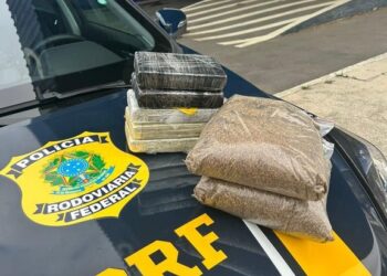 Droga do ‘zumbi’ e cocaína são apreendidas na BR 116 na Bahia