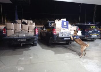 PF e PRF apreendem quase 1 tonelada de drogas na Bahia