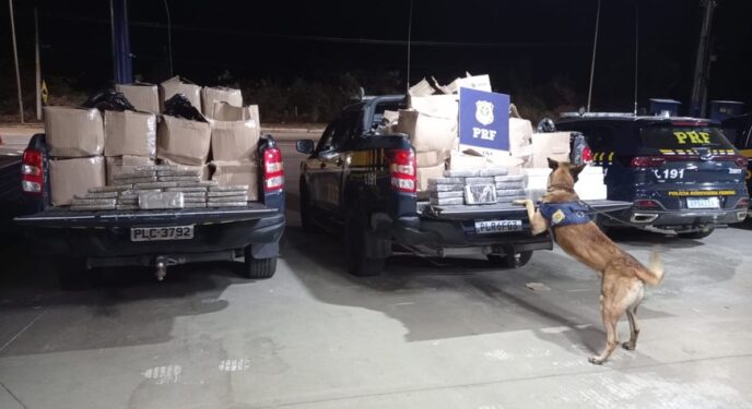 PF e PRF apreendem quase 1 tonelada de drogas na Bahia