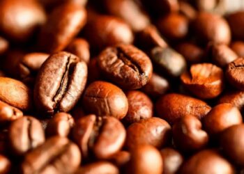 Oito lotes de café são apreendidos com presença de impurezas