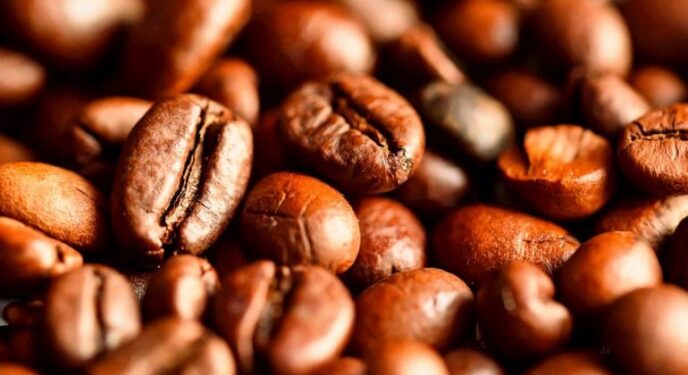 Oito lotes de café são apreendidos com presença de impurezas