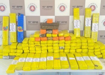 PM apreende mais de 120 quilos de maconha no interior baiano