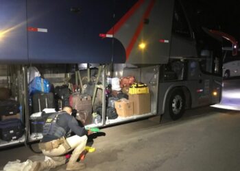 Mulher levava 5 kg de pasta base de cocaína em ônibus no interior baiano