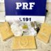 PRF prende homem e apreende mais de 4 kg de drogas na lixeira do banheiro de um ônibus