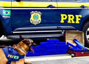 PRF apreende 20 Kg de maconha em ônibus na Bahia