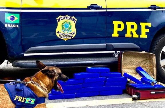 PRF apreende 20 Kg de maconha em ônibus na Bahia