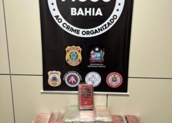 Operação apreende mais de 70 kg de cocaína em veículos na Bahia