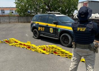 PRF apreende de 157 Kg de cocaína em fundo falso de caminhão na Bahia