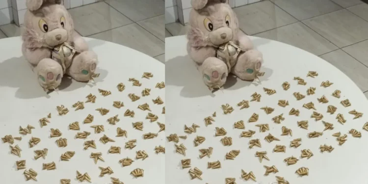 PM baiana encontra 260 pinos de cocaína dentro de bicho de pelúcia
