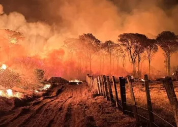 Onde de fumaça de queimadas no Pantanal avança sobre 3 estados