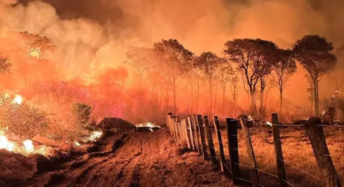 Onde de fumaça de queimadas no Pantanal avança sobre 3 estados