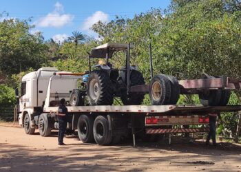 Polícia Civil prende cinco em operação contra crimes ambientais na Bahia