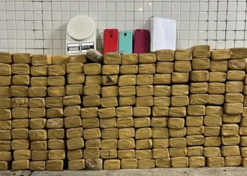 PM prende homem com 163 kg de maconha na Bahia