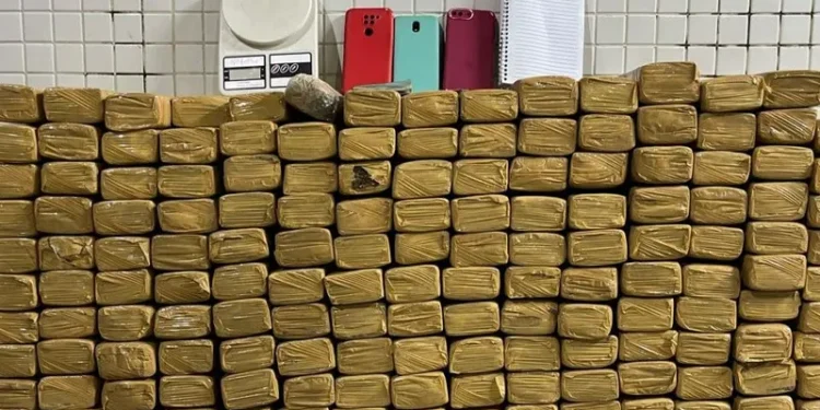 PM prende homem com 163 kg de maconha na Bahia
